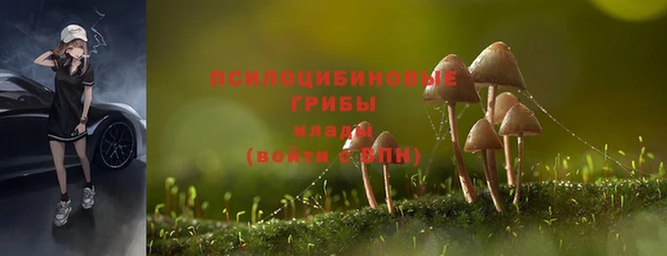 альфа пвп Володарск