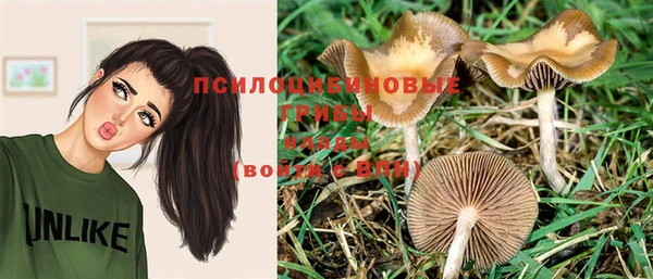 spice Верхний Тагил