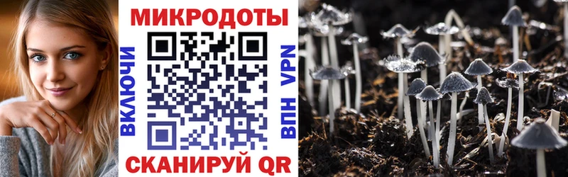 Галлюциногенные грибы MAGIC MUSHROOMS  где можно купить наркотик  Дзержинский 